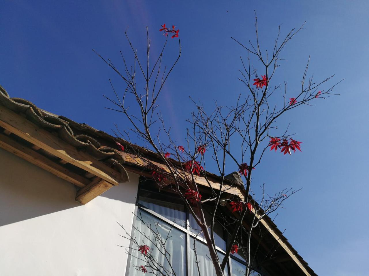 Yan Qi Si He Homestay Côn Minh Ngoại thất bức ảnh